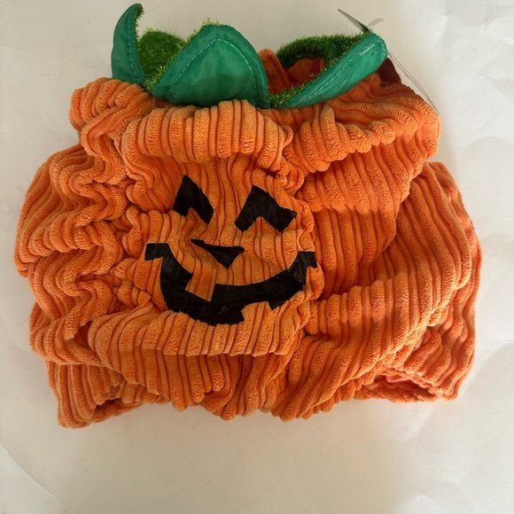 Petco Small Dog Green & Orange Pumpkin Costume - Picture 5 of 8